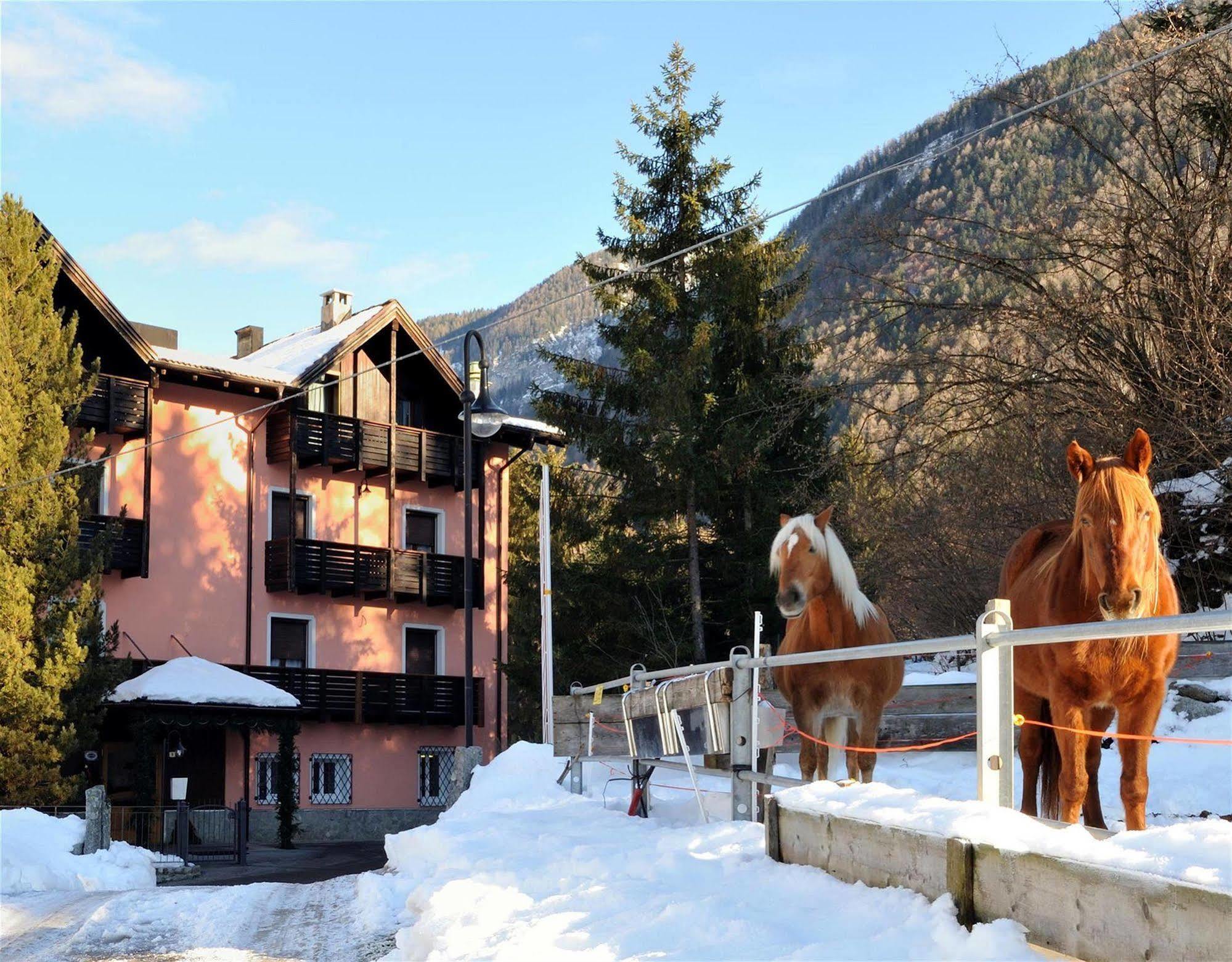 Park Hotel Bellevue Dimaro Zewnętrze zdjęcie